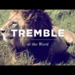 Ye That Tremble At My Word