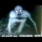 "Strange Apparitions" are on The Way too..!!!