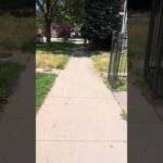You Never Know Who’s Watching