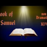 1st Samuel KJV Audio Bible with Text