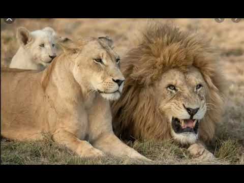 (REUPLOAD) GMSNORTHCAROLINA777:PRESS FORWARD!!!