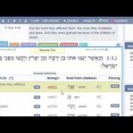 Re: 7 Questions Hebrew Israelites Avoid