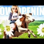 Crushing GMs with THE COW (credit to @AnnaCramling )