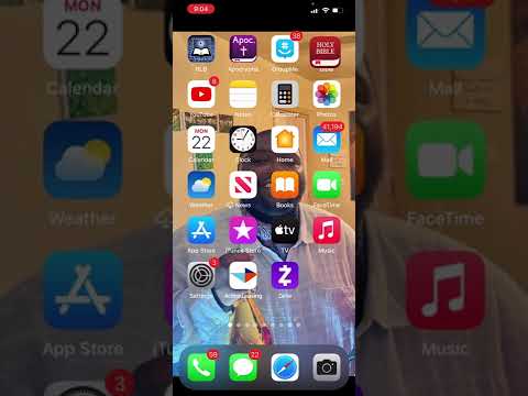 Everything Not That Serious