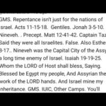 Did Nineveh Repenting After Jonah's Prophecy Prove Repentance Is Not Only To Israel?