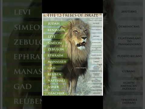 Because I have called and ye refused