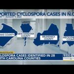 Multiple Plagues Pestilences Going Out – Stay Prayed Up