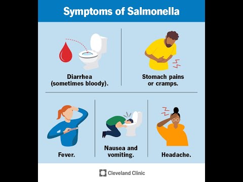 I was suffering from Salmonella poisoning about 8,9 hours ago.