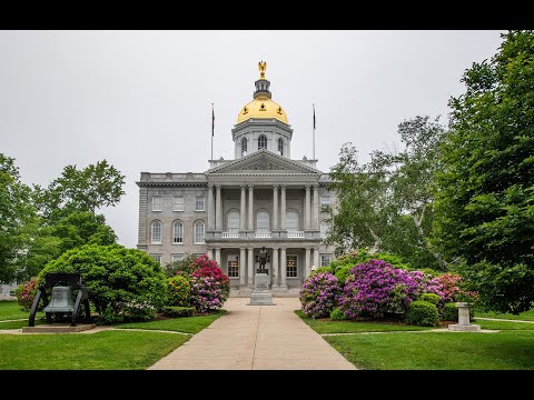 Election Law (3/10/21)