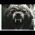 The Bear Will Show No Pity To The U.S
