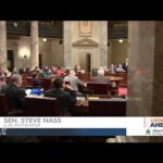 Lawmakers hope referenda drive turnout for spring election