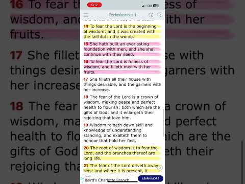 TRUST IN THE LORD