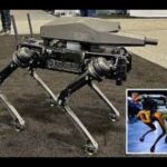 A Brief Discussion on Non-compliant M.O.T.B. Targeting