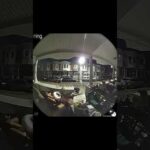 Ninjas: An argument @ a Party In The Hood