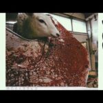 Great Slaughter Is Coming To The 2/3rds