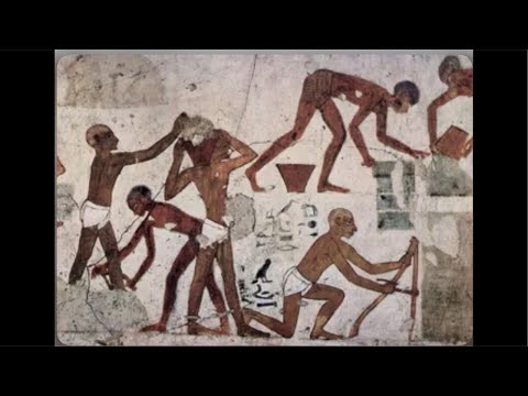 (23 Aug 25) DC Camp Livestream !
