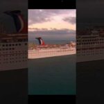 Ninjas 🥷🏿 brawling over chicken tenders on carnival cruise ship 🛳️ 🤦🏽‍♂️
