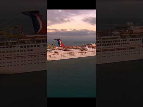 Ninjas 🥷🏿 brawling over chicken tenders on carnival cruise ship 🛳️ 🤦🏽‍♂️