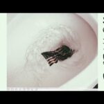 Babylon Is Circling Down The Drain [🇺🇲🚽👋🏿]