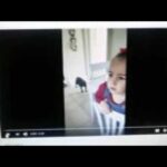 original liars and thieves reupload (gmsmaccabeanspirit)