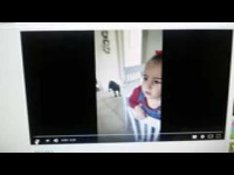 original liars and thieves reupload (gmsmaccabeanspirit)