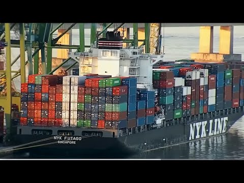 There shall be no work for Egypt (America)