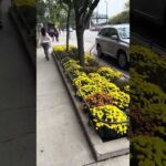 The Importance of Mindset As The World Crumbles