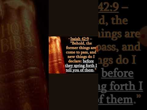 THE WATCHMEN ARE WARNING YOU!!!!