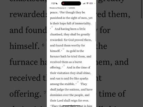 Pt2 We’re Not Missing, Out We’re Investing