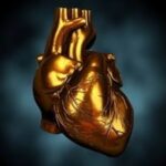 Diligently Seeking the LORD with a Pure Heart