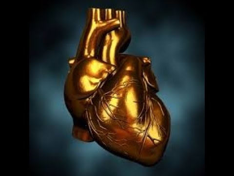 Diligently Seeking the LORD with a Pure Heart