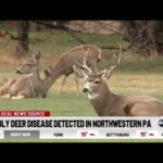More Plague Pestilences Continuing To Spread (Bible Prophesy Quietly Speaking PT4)