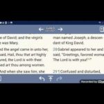 Are you calling the Savior the name the angel Gabriel told Joseph and Mary to call/name  him ?