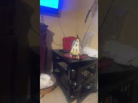 Gms keep pushing on is live