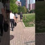 Self-Care is Demon Repellent