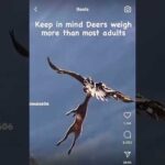 THE LORD HAS SOMETHING FOR 2/3RDS 🦅 🦅🦅