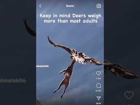 THE LORD HAS SOMETHING FOR 2/3RDS 🦅 🦅🦅