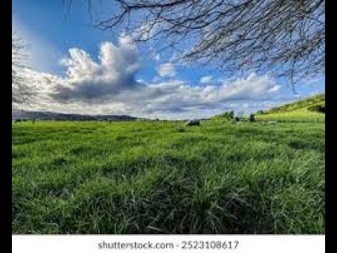 Only The LORD Can Give Us Rest