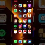 Forgive But Don’t Forget