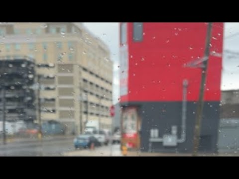 SAINTS OF JERSEY 2 𐤆𐤄𐤅𐤄                  𐤆𐤄𐤅𐤔𐤏  is live! In transit