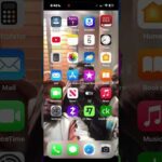 Quality Not Quantity…. Edify The Body