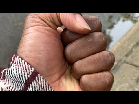 This is the Lords movie