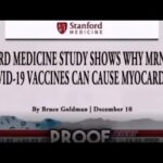 Jake and the World now know Israelis committed identity theft.