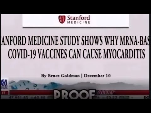 Jake and the World now know Israelis committed identity theft.