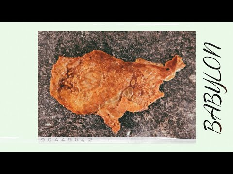 Stick A Folk In Her, She's Cooked 🍽🇺🇲🔥‼️