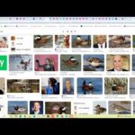 For he was but a youth and ruddy…