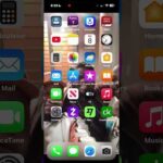 Premarital Sex? Virgin Birth? Sex Is Marriage!