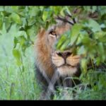 We're in those Times to Stay Circumspect !