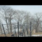 SAINTS OF JERSEY 2 𐤆𐤄𐤅𐤄                  𐤆𐤄𐤅𐤔𐤏  is live! Various topics 🏃🏻‍➡️