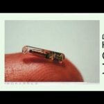 Ready Or Not, The Beast System Is Coming ‼️